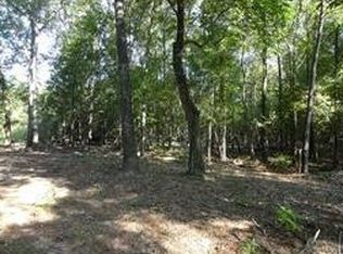 451 Hostetter Rd, New Waverly, TX 77358