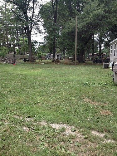 1st image of 313 1st St