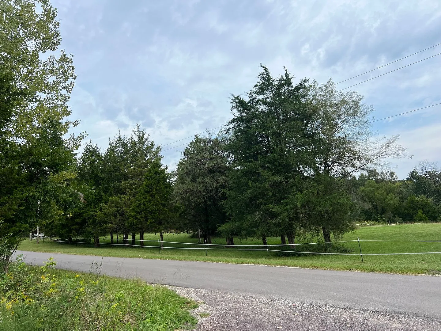 House on 5 acres 3 beds 2.5 baths — Photo 4