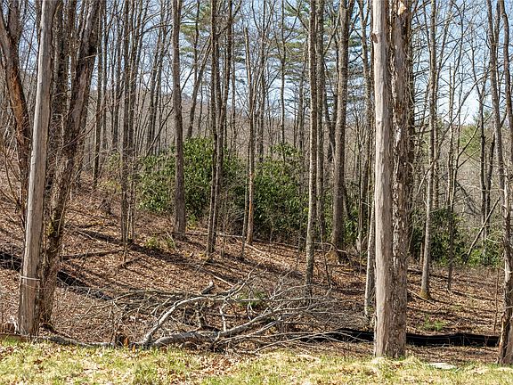 3rd image of C20 Roaming Road