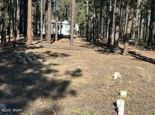 County Road N2121, Alpine, AZ 85920