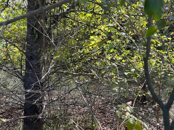 252 Highway 25 #0, Brierfield, AL 35035