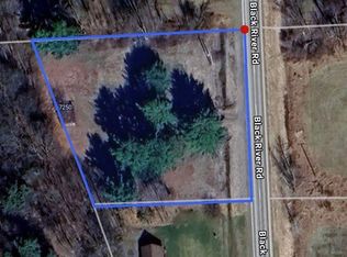 7250 Black River Rd, Croswell, MI 48422