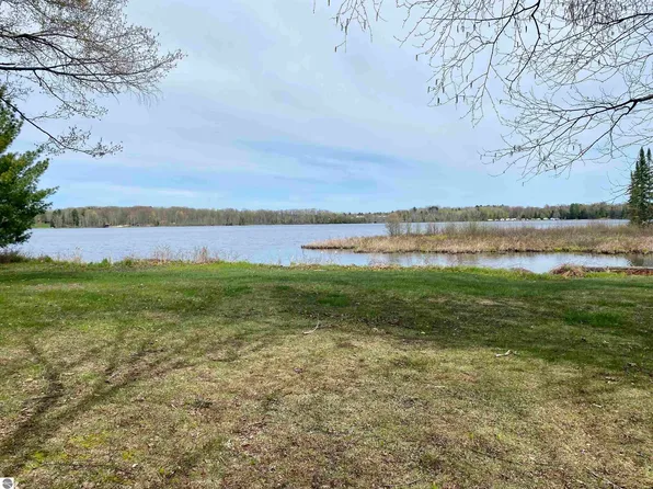 Shady Ln, Hale, MI 48739