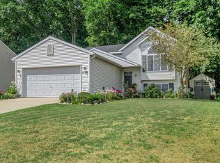 11399 Trent St SE, Lowell, MI 49331