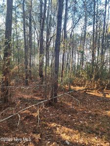 210 Highway Off, Rocky Point, NC, 28457