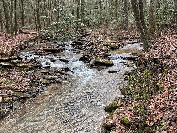 3rd image of 247 Copperhead Rd