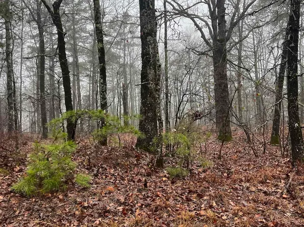 1600 Porter Rd, Shirley, AR 72153