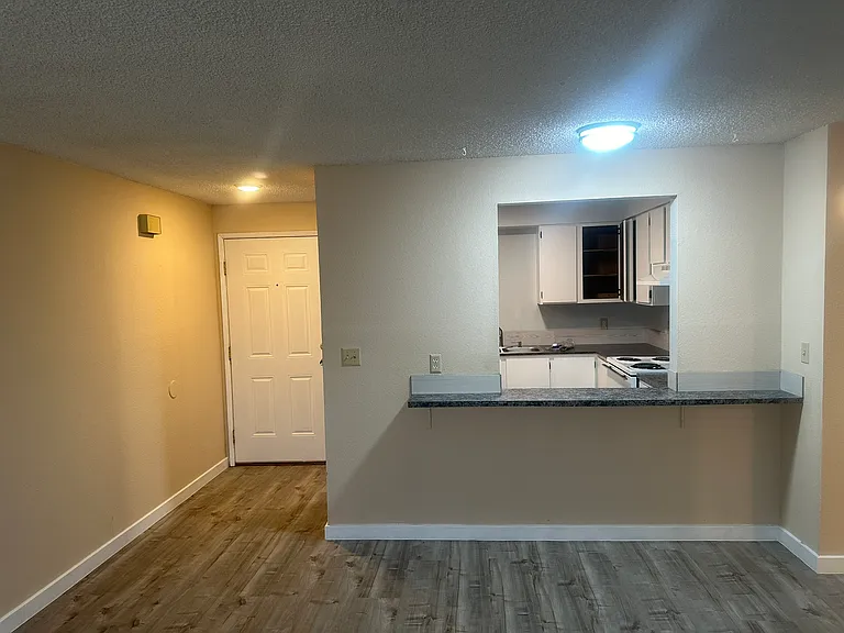 1520 W Clark St #D — Photo 3