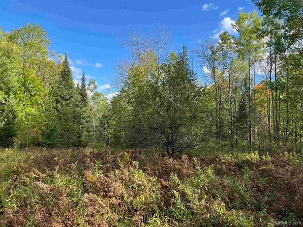 70 Highway Tipler #T, Long Lake, WI 54542