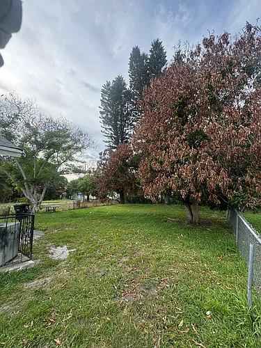 1510 Avenue H Photo 1