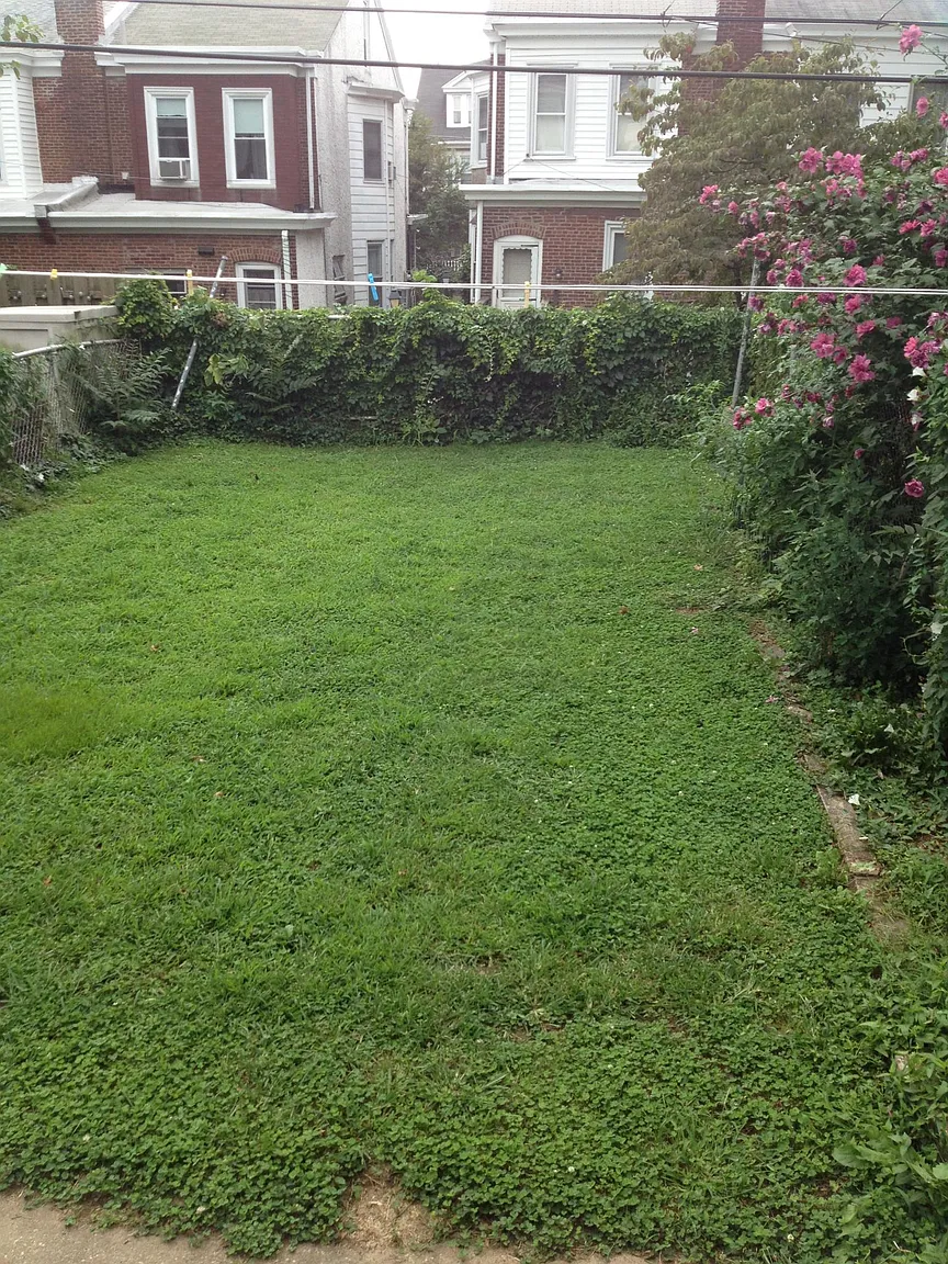 4314 Pechin St photo 1