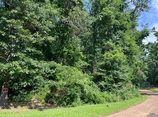 Tbd W Highway 49, Daingerfield, TX 75638