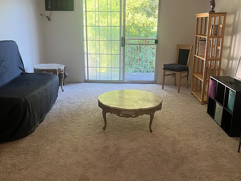 Spacious living area with ceiling fan, plush carpeting, and sliding glass doors opening to a balcony with leafy views.