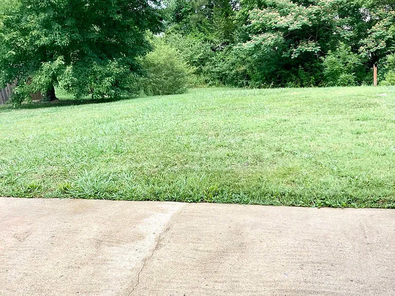 Easy to maintain backyard but large enough to enjoy