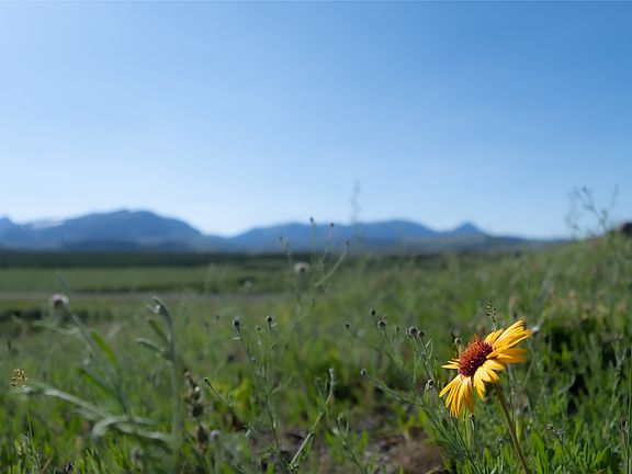 3rd image of 941 Us Highway 89 W