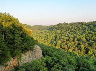 195 Willow Ln, Wellington, KY 40387