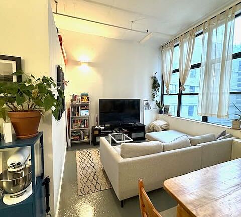 4th image of 170 Tillary St #407
