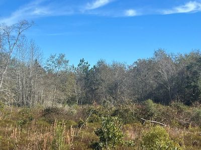 0 Clements Simmons Rd, Tifton, GA, 31794