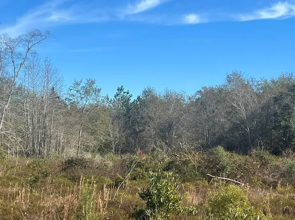 0 Clements Simmons Rd, Tifton, GA 31794