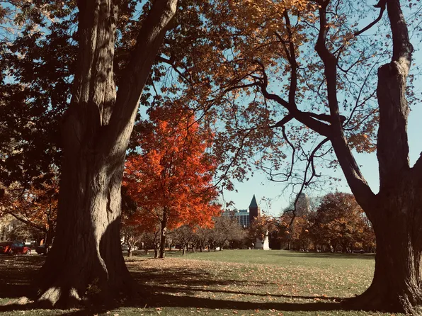 (undisclosed Address), Albany, NY 12208