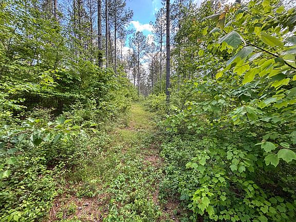 5th image of 82 Bennie Camp Rd