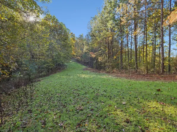 0 W Sheepneck Rd, Mount Pleasant, TN 38474