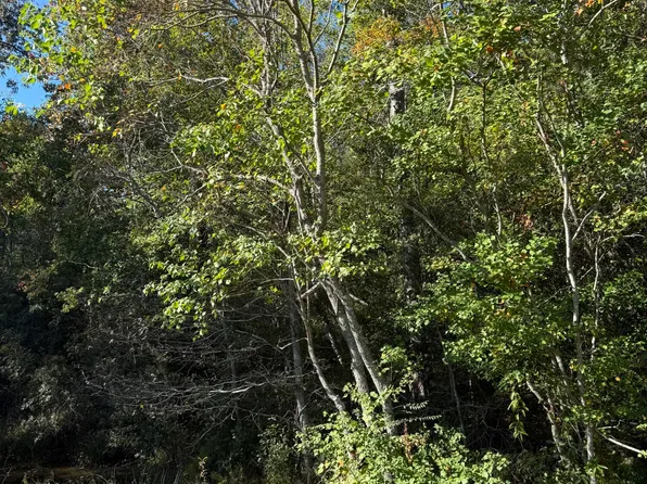 37 Forrest Dr, Hattiesburg, MS 39402