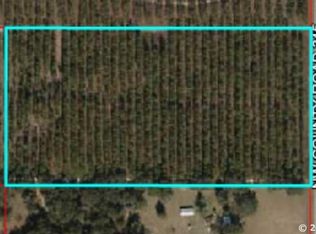 NW County Rd 345, Chiefland, FL 32626