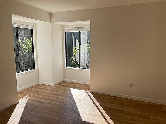 Living room windows