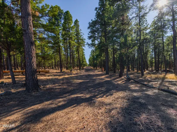039G Dynamite Rd, Lakeside, AZ 85929