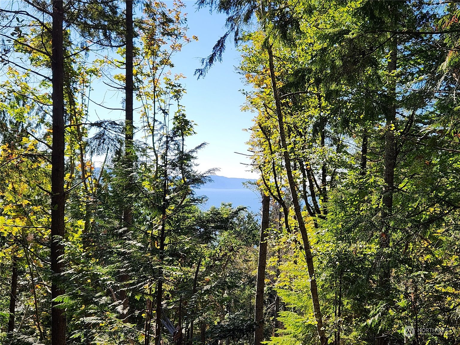 111 Yashi Road, Brinnon, WA 98320 Zillow