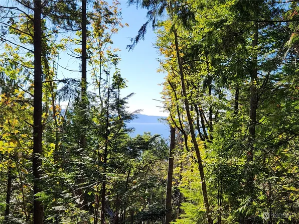 111 Yashi Road, Brinnon, WA 98320