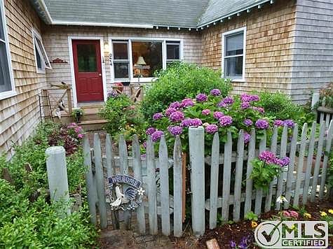 Front gate and patio garden