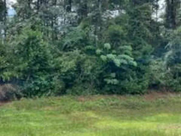 N Spring Creek Cir, Cobb, GA 31735