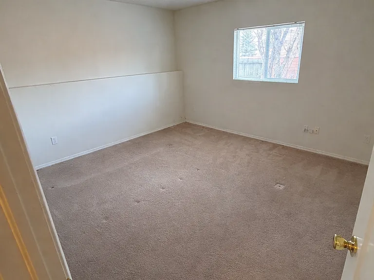 5150 Pine Haven Dr — Photo 14