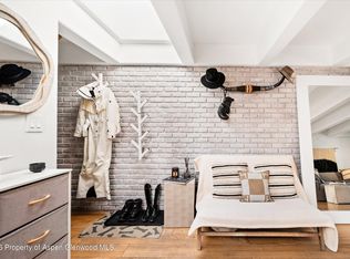 901 E Hyman Ave #11, Aspen, CO 81611