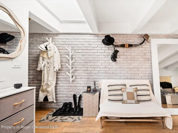 901 E Hyman Ave #11, Aspen, CO 81611