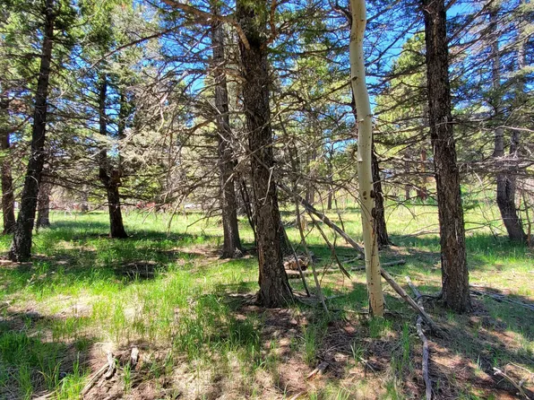 0 Spanish Peaks Dr W #46-47, Aguilar, CO 81020