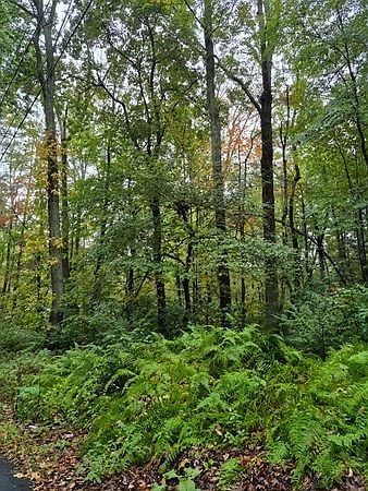 1st image of 0 Blackmer Rd