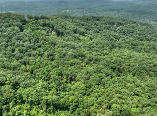 78AC Laurel Springs Rd, Mineral Bluff, GA 30559