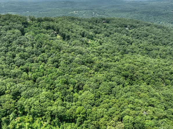 78AC Laurel Springs Rd, Mineral Bluff, GA 30559