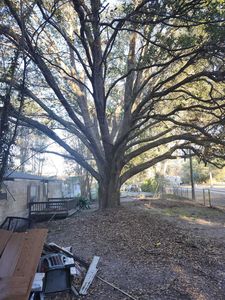 5076 Meadowlark Ln, Tallahassee, FL, 32303