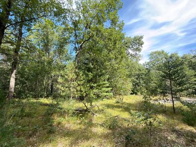 151 N Horseshoe Bend Rd, Manistee, MI, 49660