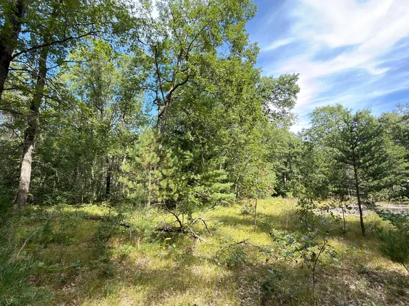 151 N Horseshoe Bend Rd, Manistee, MI 49660