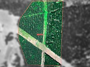 Abst 24 A Allbright V Und #31.3, Harleton, TX 75651