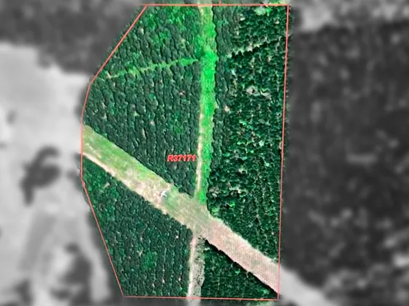 Abst 24 A Allbright V Und #31.3, Harleton, TX 75651