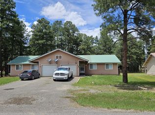 534 Park Ave #A, Pagosa Springs, CO 81147