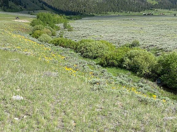 3rd image of 15 Torry Rd