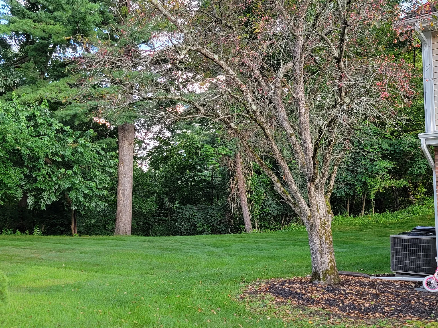 3 bed, 2.5 bath, 1319 sqft, $2,500 — Photo 2